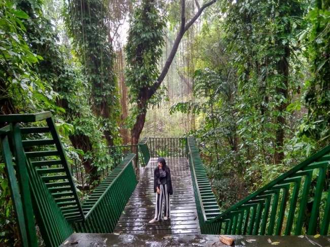 Forest Walk Bandung, Spot Olahraga dan Piknik yang Nyaman