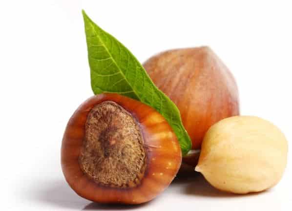 Apa Saja Makanan Penurun Kolestrol Paling Ampuh dan Aman