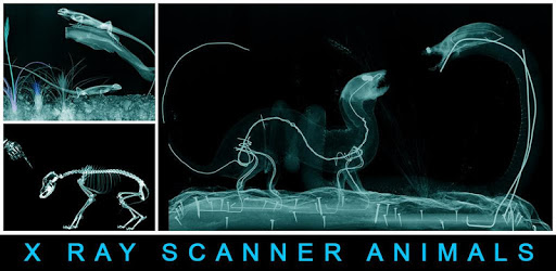 Apk Kamera Tembus Pandang Baju Terbaik Untuk Android