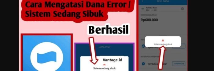 Cara Mengatasi Aplikasi DANA Error Tidak Bisa Transfer Hari Ini