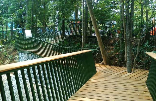 Rute Menuju ke Forest Walk