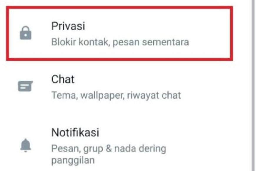 5 Cara WhatsApp Ceklis Satu tapi Online dan Sudah Dibaca