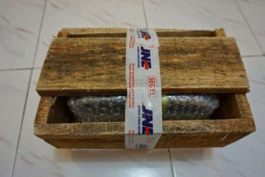 Cek Biaya Packing Kayu JNE dengan Cara Hitung dan Syaratnya