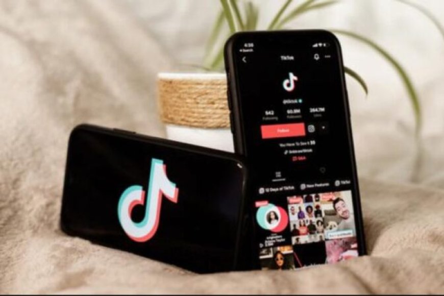 Apa Arti Pragos, Istilah yang Viral di TikTok