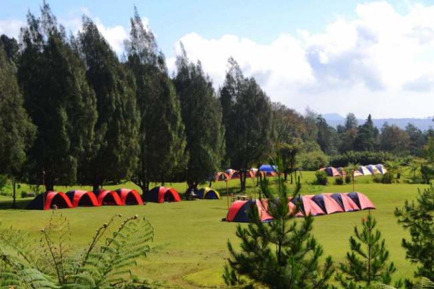 Mandalawangi Camping Ground: Lokasi, Jam Buka dan HTM