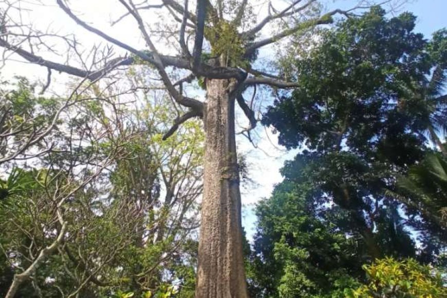 15 Destinasi Wisata Indramayu yang Lagi Ngehits dan Populer