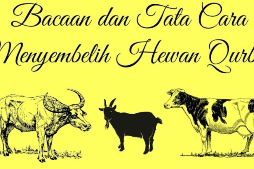 Doa Menyembelih Hewan Kurban Dan Tata Cara Menyembelih