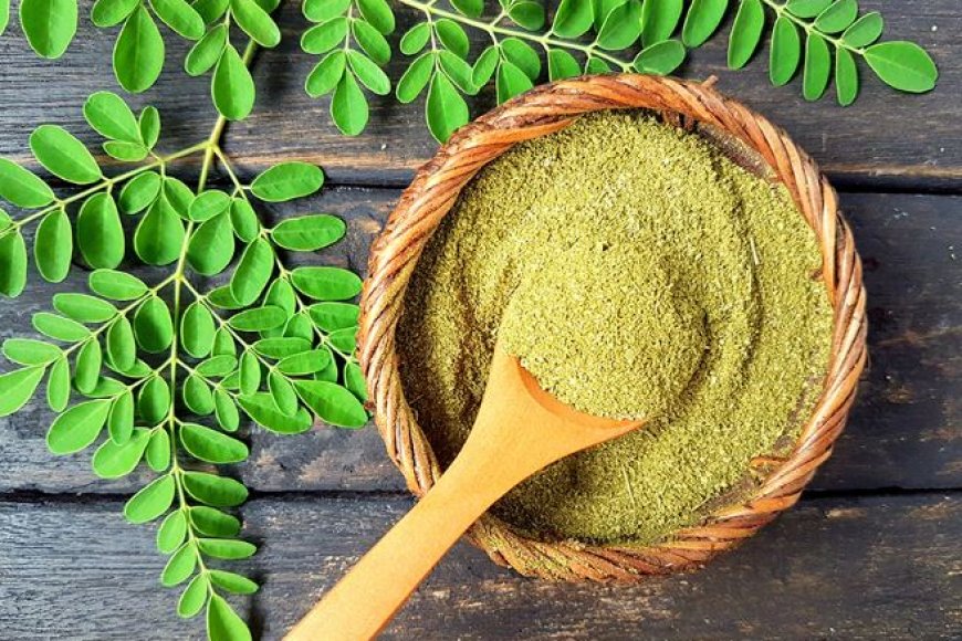 10 Manfaat Daun Kelor Untuk Kesehatan dan Kecantikan