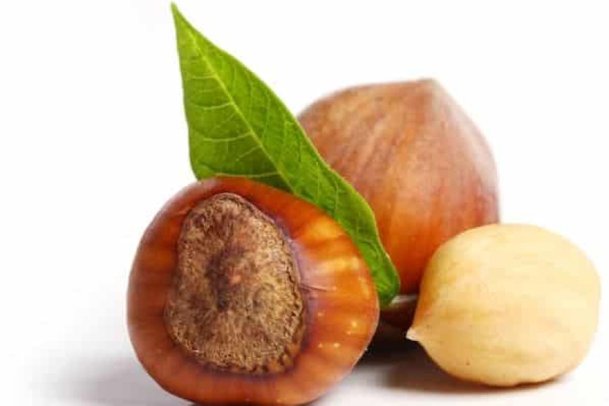 Apa Saja Makanan Penurun Kolestrol Paling Ampuh dan Aman