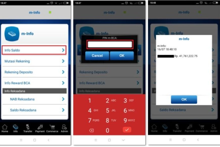 BCA Mobile Tidak Bisa Cek Saldo? Tidak Usah Panik Gini Caranya