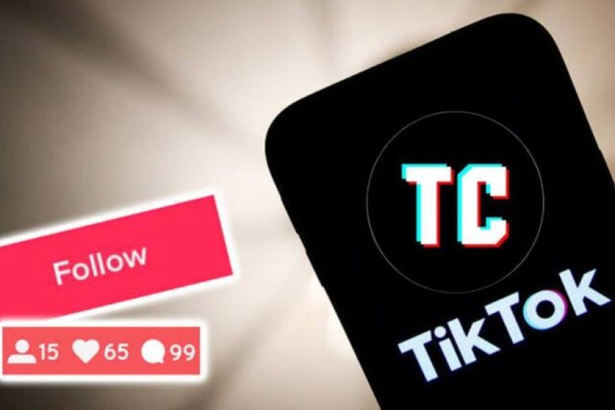 Tokcount Tiktok : Website Untuk Mengecek Followers TikTok