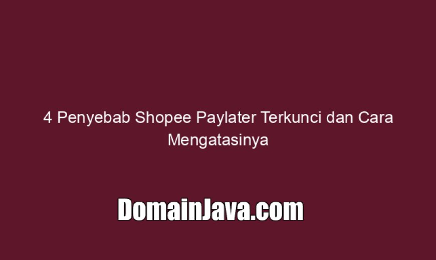 4 Penyebab Shopee Paylater Terkunci dan Cara Mengatasinya