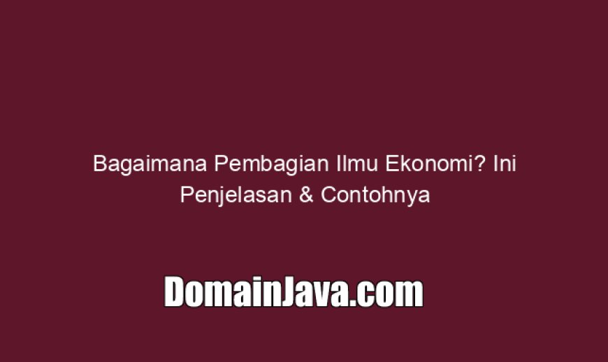 Bagaimana Pembagian Ilmu Ekonomi? Ini Penjelasan & Contohnya