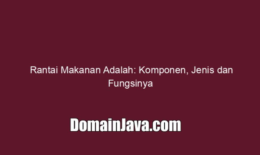 Rantai Makanan Adalah: Komponen, Jenis dan Fungsinya