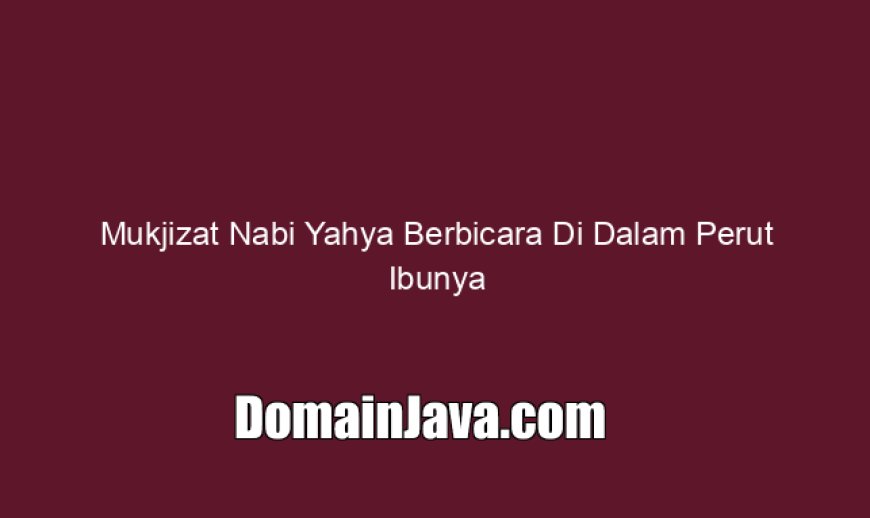 Mukjizat Nabi Yahya Berbicara Di Dalam Perut Ibunya