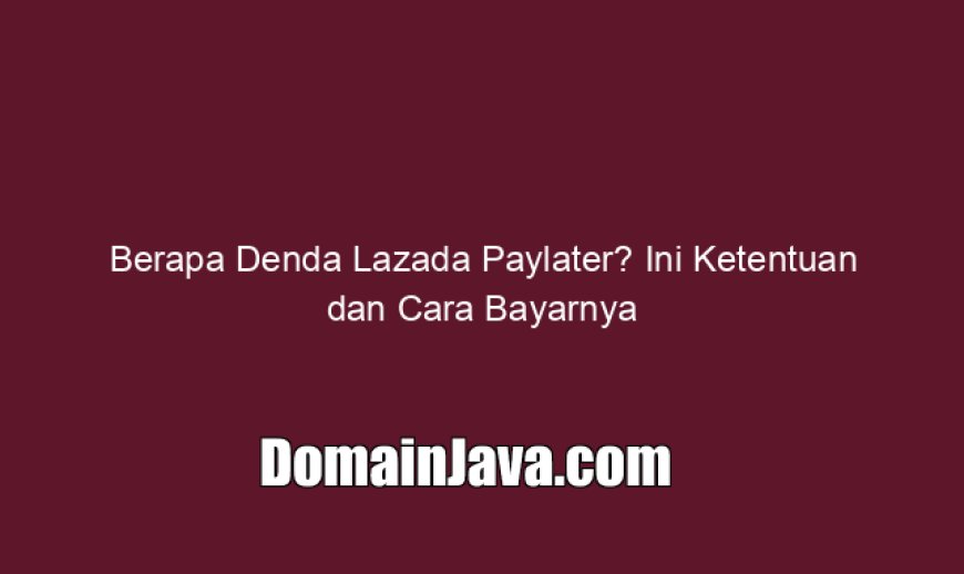 Berapa Denda Lazada Paylater? Ini Ketentuan dan Cara Bayarnya