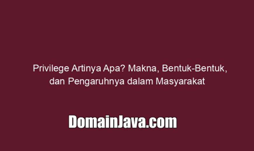 Privilege Artinya Apa? Makna, Bentuk-Bentuk, dan Pengaruhnya dalam Masyarakat