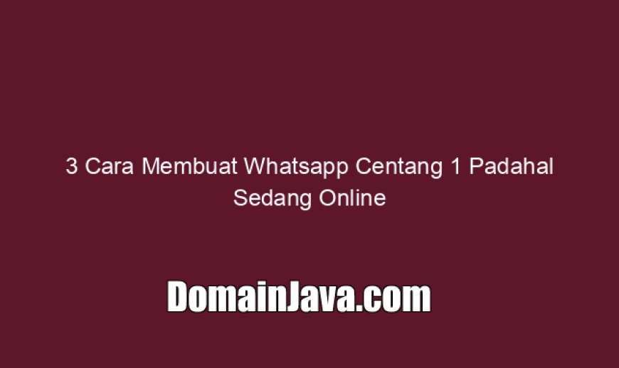3 Cara Membuat Whatsapp Centang 1 Padahal Sedang Online