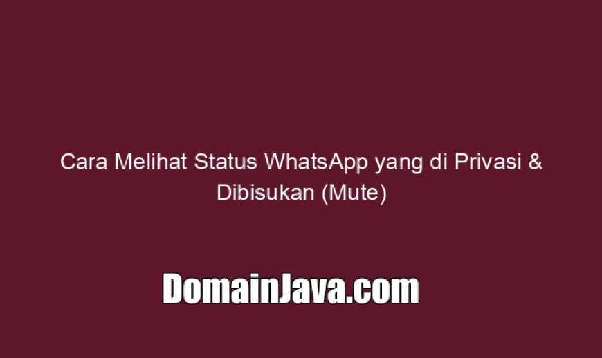 Cara Melihat Status WhatsApp yang di Privasi & Dibisukan (Mute)