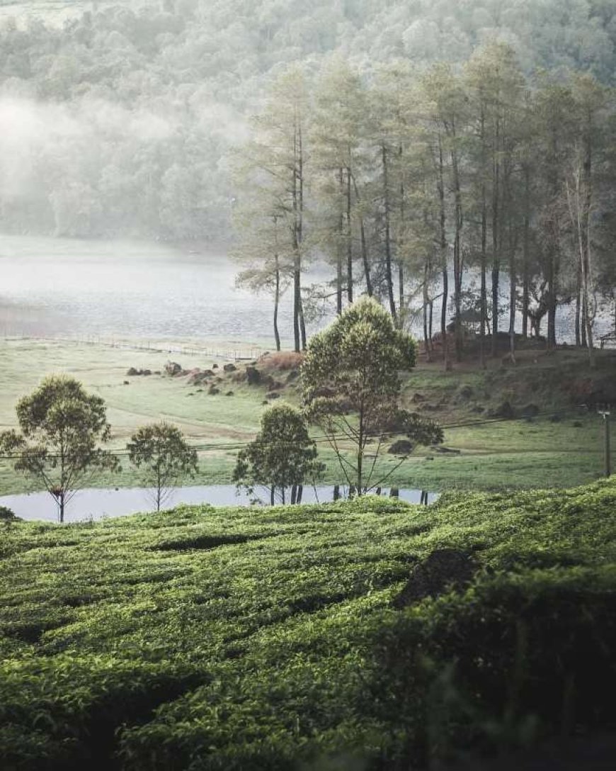 20 Wisata Jawa Barat yang Wajib Dikunjungi untuk Healing