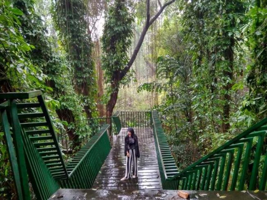 Forest Walk Bandung, Spot Olahraga dan Piknik yang Nyaman