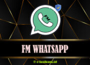 Download FM WhatsApp 10.10 [FM WA] Mod Apk Terbaru 2025 Official