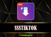 SSSTikTok – Download Video TikTok Tanpa Watermark HD Terbaru