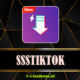 SSSTikTok – Download Video TikTok Tanpa Watermark HD Terbaru