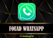 Download Fouad WhatsApp APK v10.10 Versi Terbaru 2025 Anti Banned