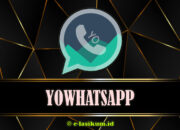 YoWhatsApp 10.20 (YoWA) APK Download Versi Terbaru 2025 Official