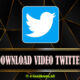 Download Video Twitter Full HD di Android, iOS (iPhone) dan PC