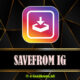 SaveFrom IG – Download Video Instagram Full HD Terbaru 2025