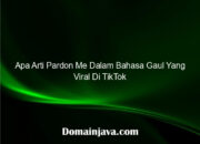 Apa Arti Pardon Me Dalam Bahasa Gaul Yang Viral Di TikTok