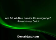 Apa Arti WA Blast dan Apa Keuntungannya? Simak Infonya Disini