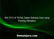 Arti OYO di TikTok Dalam Bahasa Gaul yang Penting Diketahui