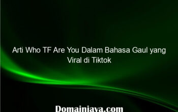 Arti Who TF Are You Dalam Bahasa Gaul yang Viral di Tiktok