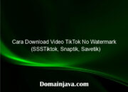 Cara Download Video TikTok No Watermark (SSSTiktok, Snaptik, Savetik)