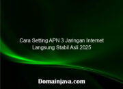 Cara Setting APN 3 Jaringan Internet Langsung Stabil Asli 2025