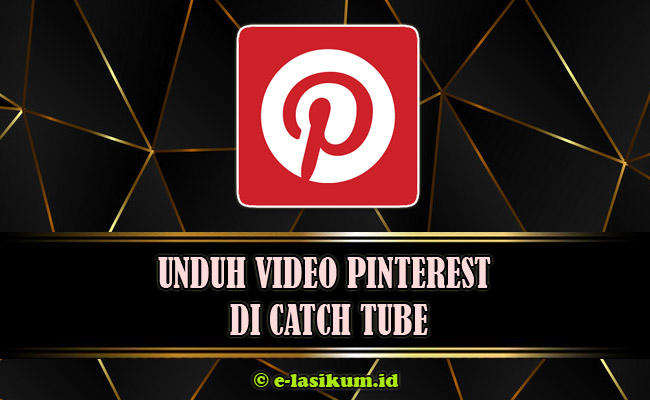 Cara Download Video Pinterest di Catch Tube