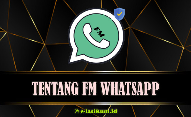 Download FM WhatsApp [FM WA] Mod Apk Terbaru 2021 Official