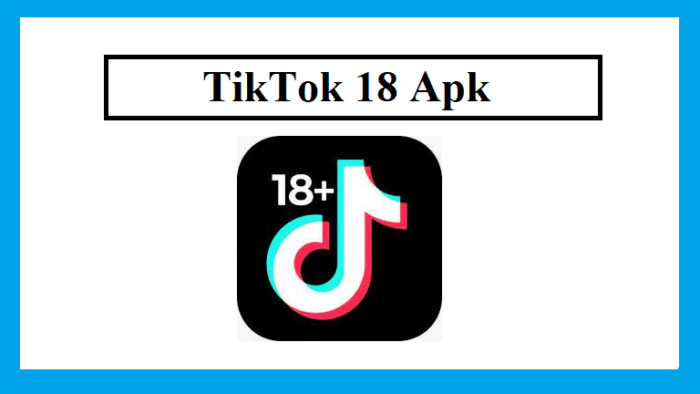 Fitur - Fitur Pada TikTok Mod 18 Apk