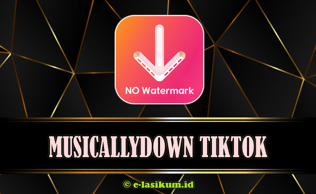 MusicallyDown - Download Video TikTok Tanpa Watermark HD Gratis