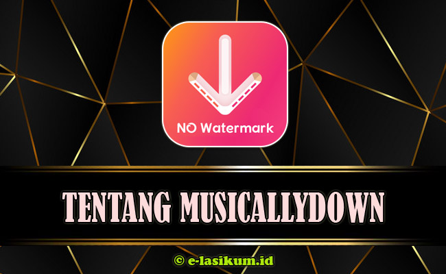 MusicallyDown - Download Video TikTok Tanpa Watermark HD Gratis