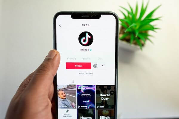 Review Tikmate Aplikasi Download Video TikTok