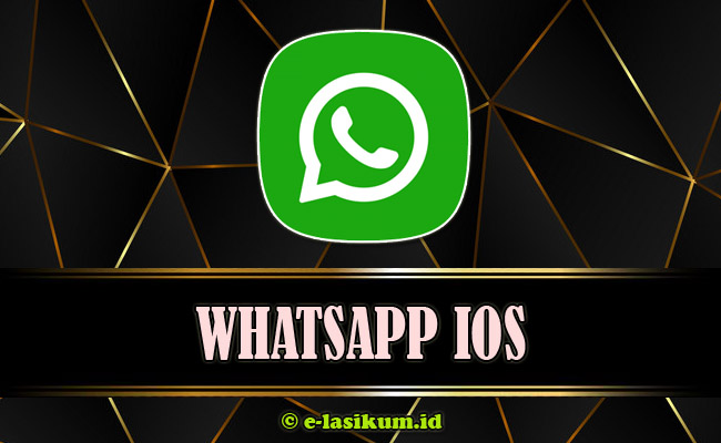 Download WhatsApp Mod [WA Mod] APK Versi Terbaru 2021 Official 