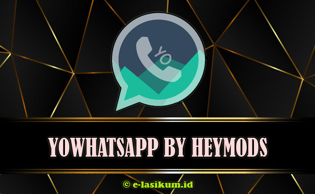 YoWhatsApp (YoWA) APK Download Versi Terbaru 2021 Official