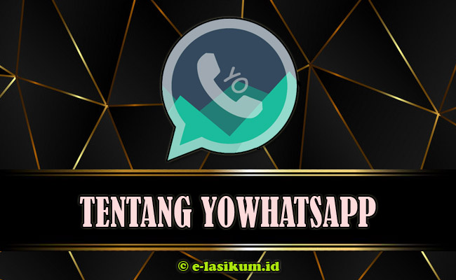 YoWhatsApp (YoWA) APK Download Versi Terbaru 2021 Official