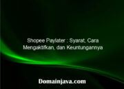 Shopee Paylater : Syarat, Cara Mengaktifkan, dan Keuntungannya