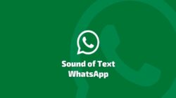 Sound of Text WA: Aplikasi Mengubah Teks Menjadi Suara