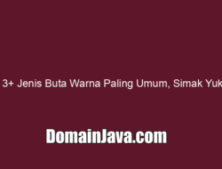 3  Jenis Buta Warna Paling Umum, Simak Yuk